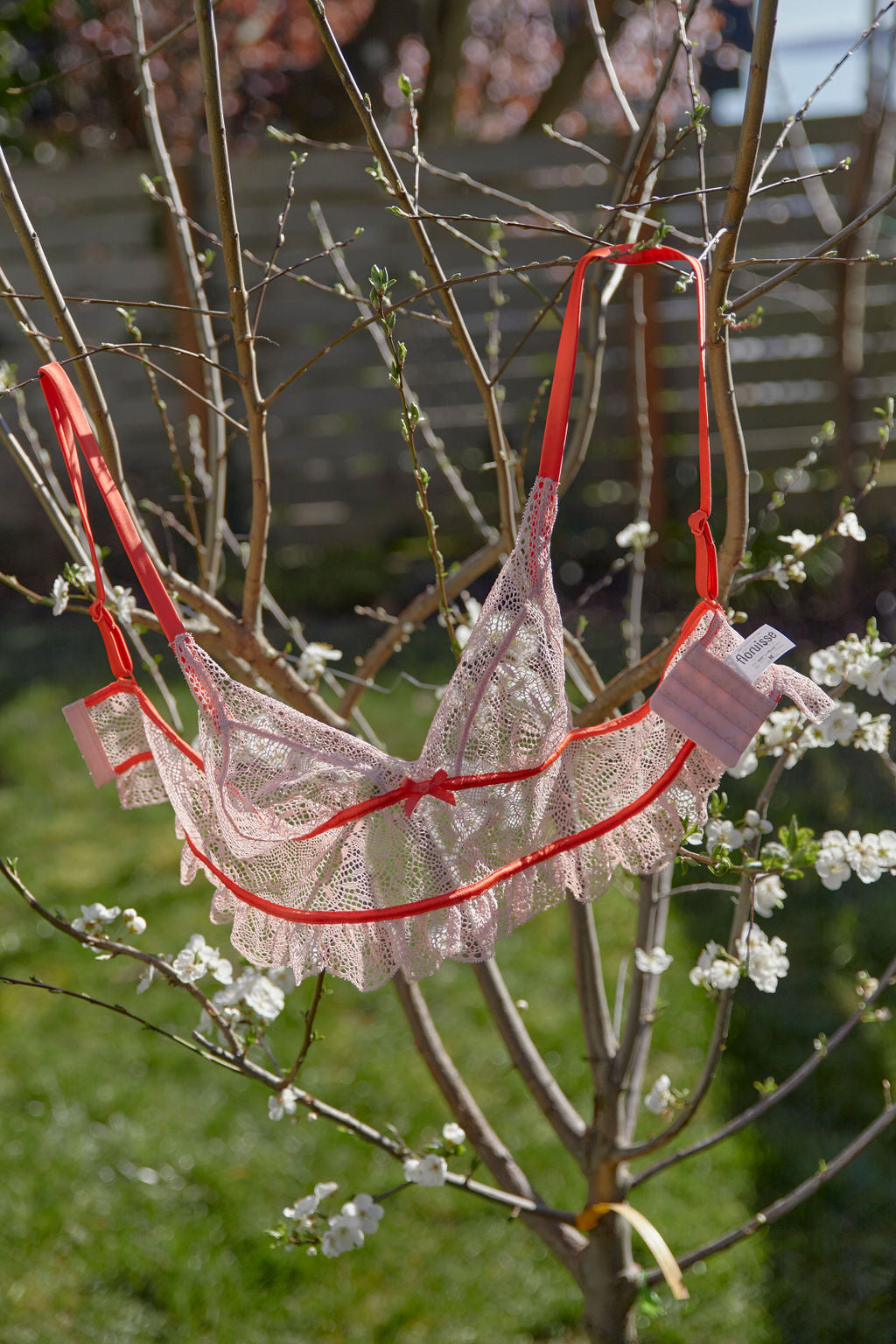 soft lace bralette on a tree shows that floruisse chooses eco-friendly methods to run their business