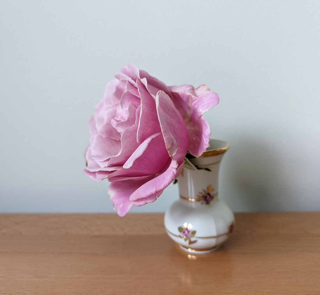 fundraiser tshirt print floruisse suicide prevention custom lgbtq